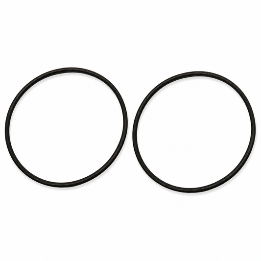 Chlorinator Lid O-Rings — product view